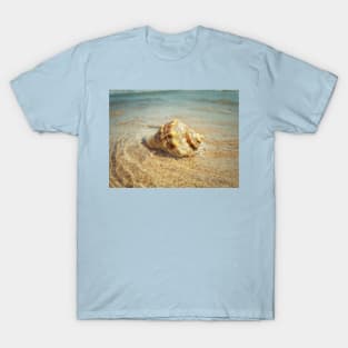 whelk T-Shirt